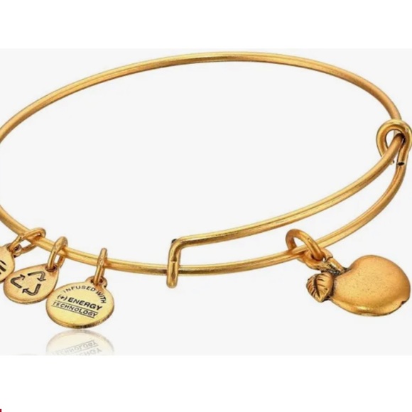 Alex and Ani Apple of Abundance - Picture 3 of 3